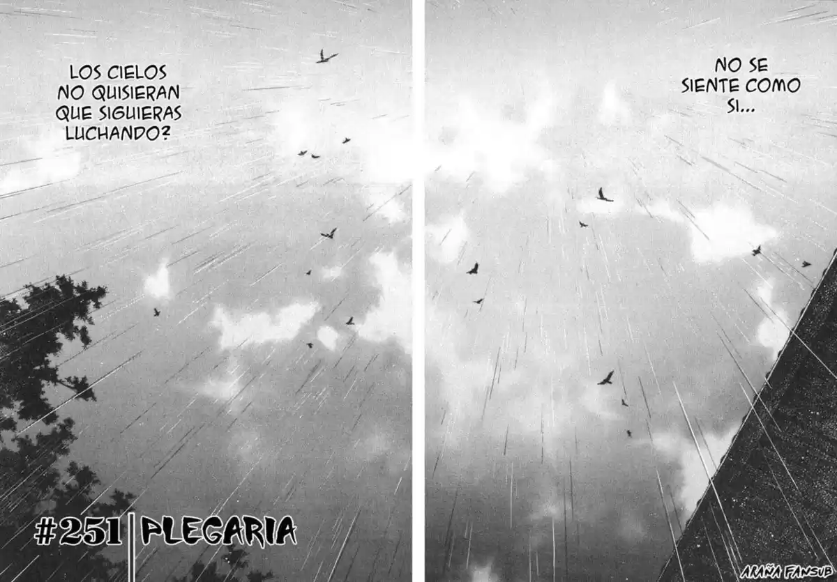 Vagabond Capitulo 251: Plegaria página 2