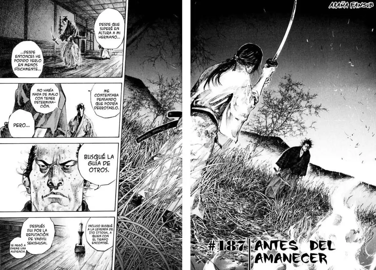 Vagabond Capitulo 187: Antes del amanecer página 2