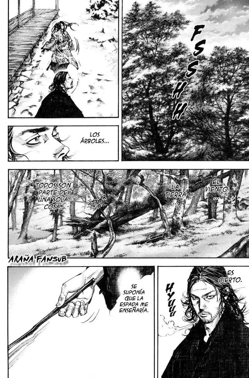 Vagabond Capitulo 209: Un largo desvío página 5