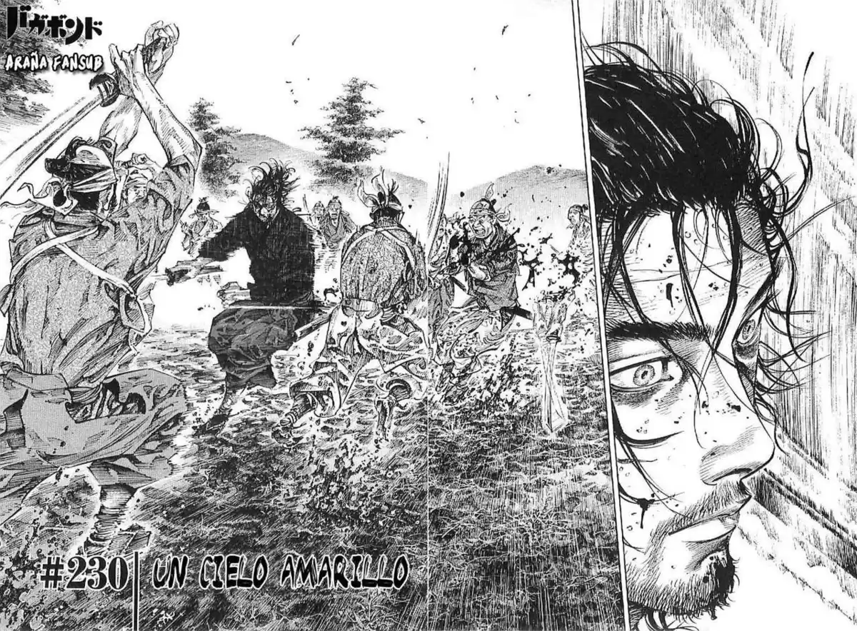 Vagabond Capitulo 230: Un cielo amarillo página 2