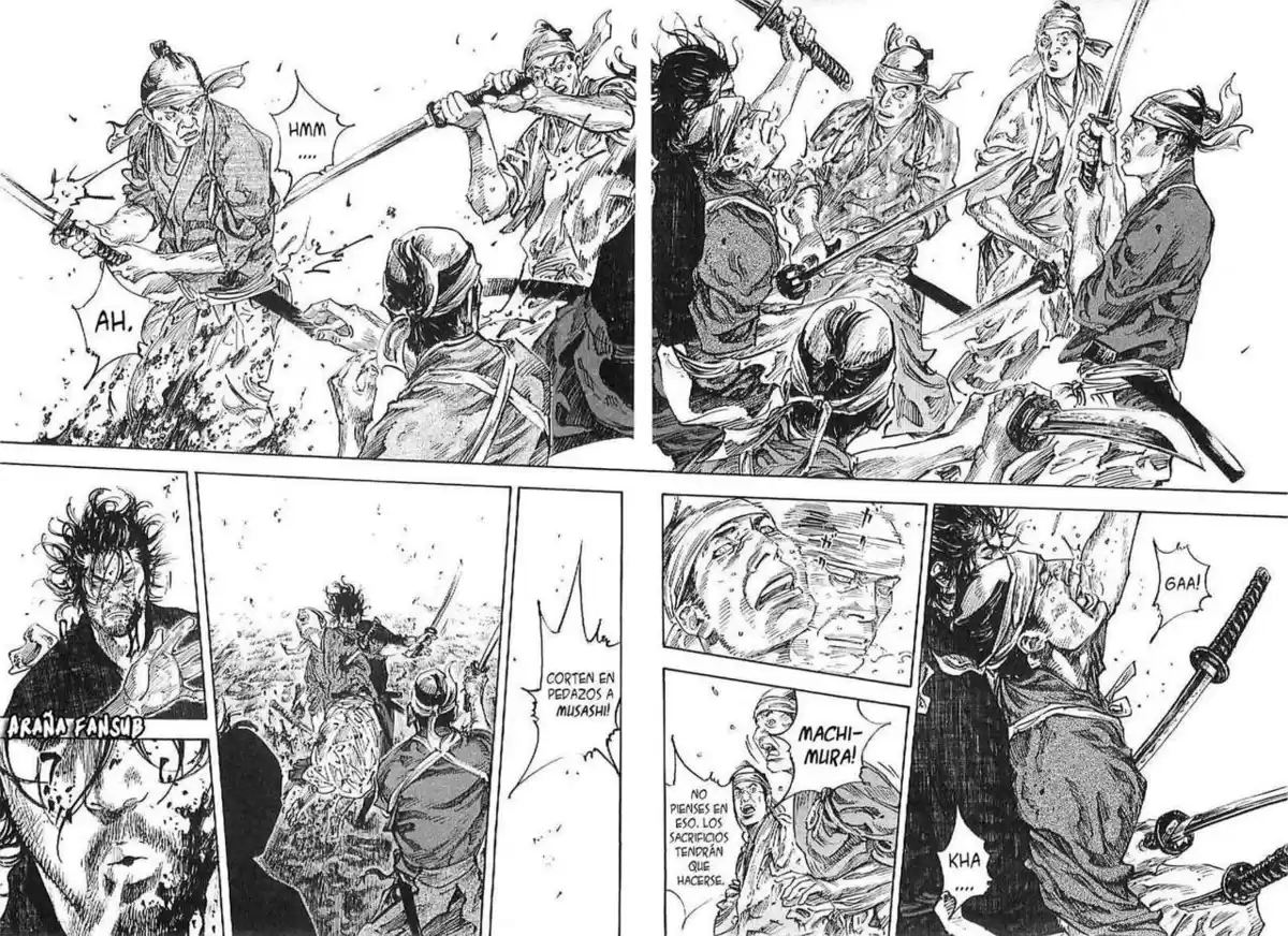 Vagabond Capitulo 230: Un cielo amarillo página 5