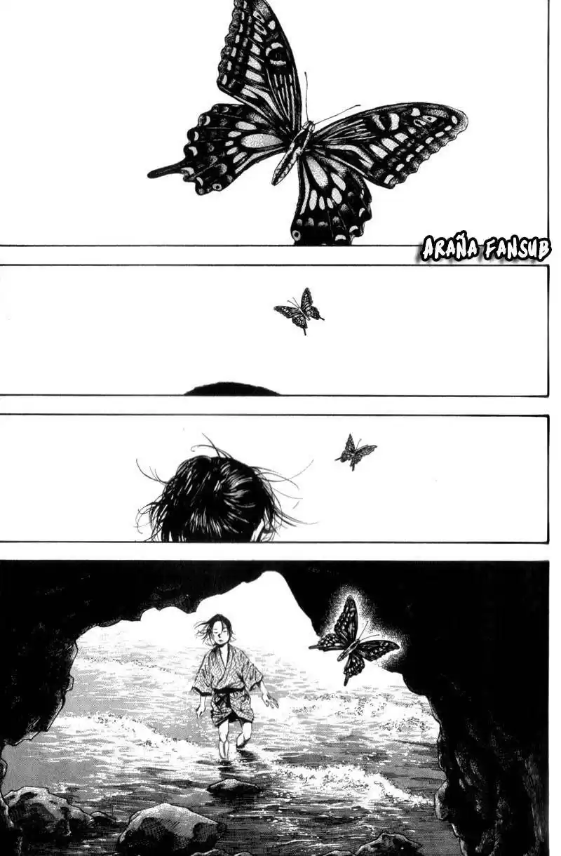 Vagabond Capitulo 139: Mariposa página 3