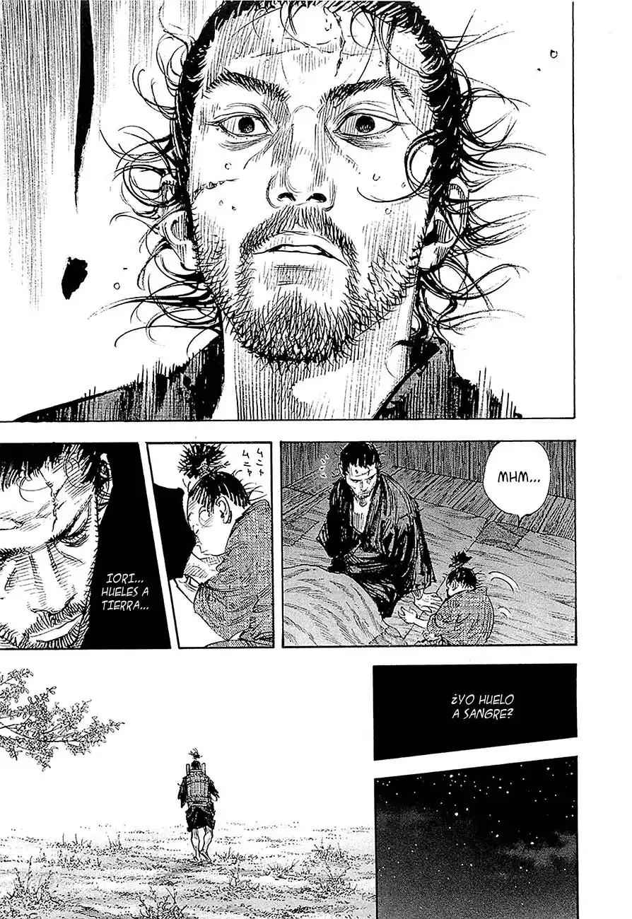 Vagabond Capitulo 317: Puro y claro página 4