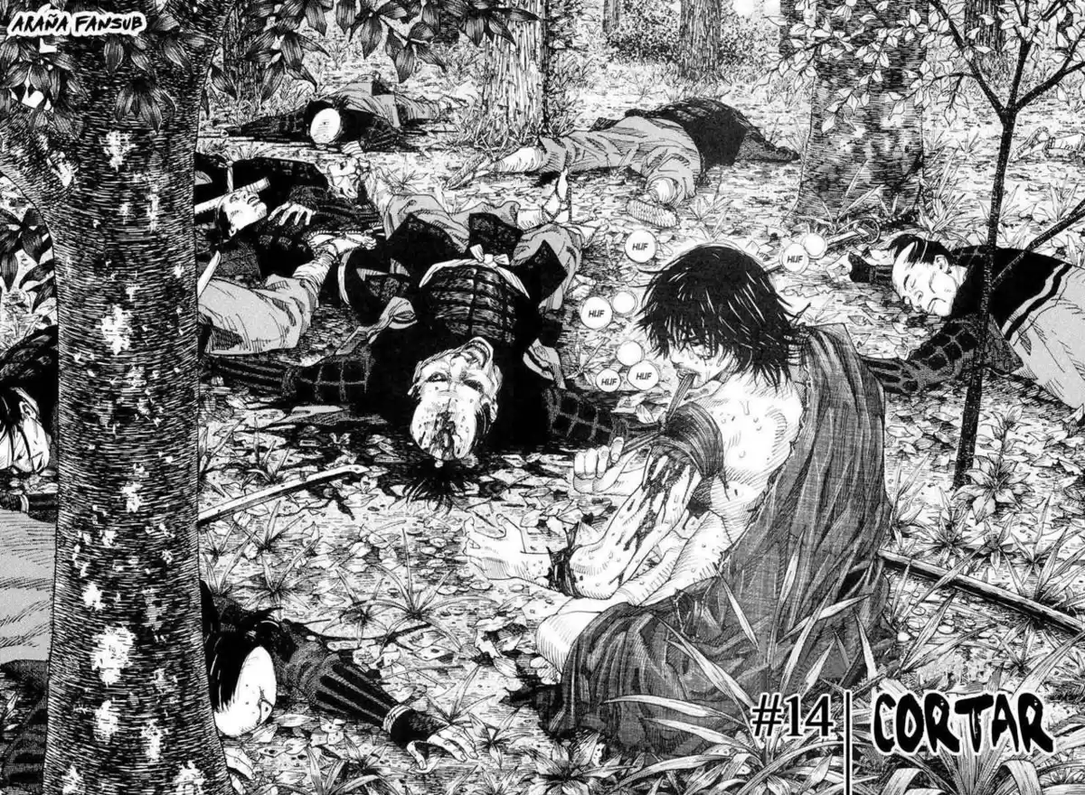 Vagabond Capitulo 14: Cortar página 3