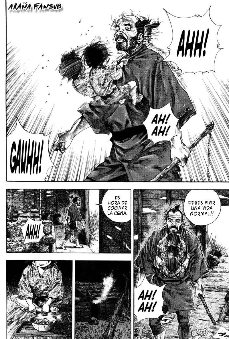 Vagabond Capitulo 134: Madero flotante página 6