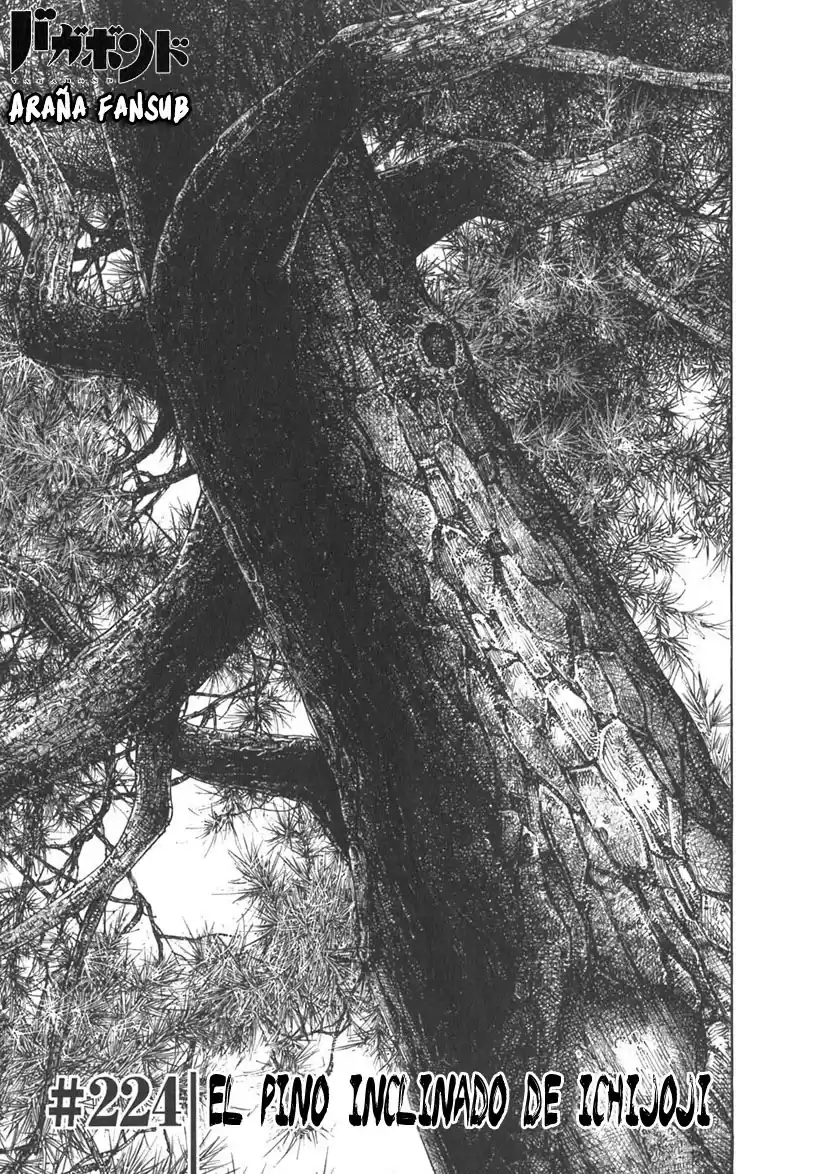 Vagabond Capitulo 224: El pino inclinado de Ichijoji página 1
