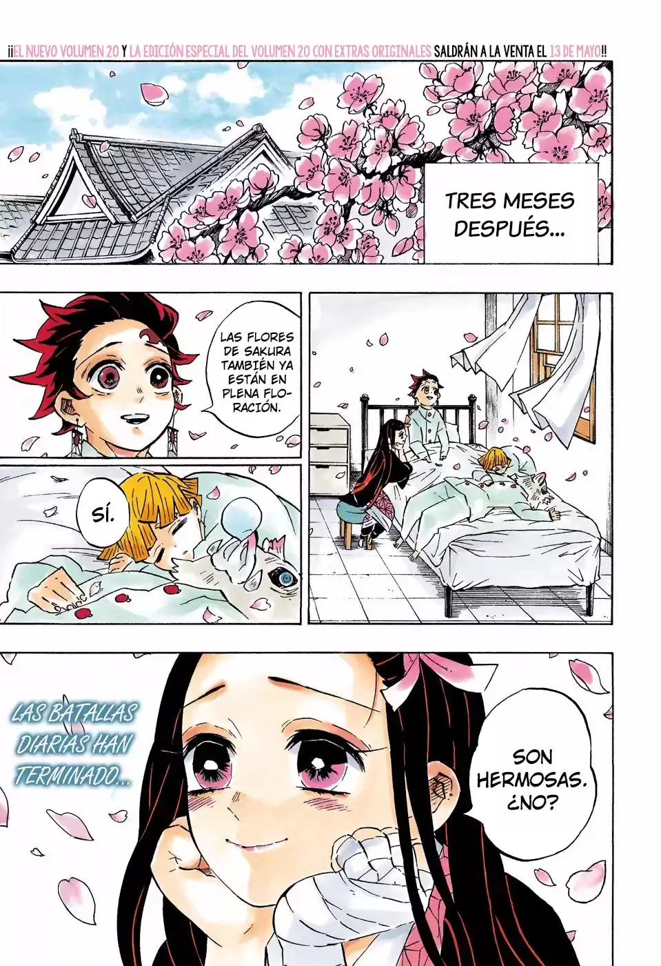 Demon Slayer: Kimetsu no Yaiba Capitulo 204.5: Un mundo sin Demonios (COLOR). página 4