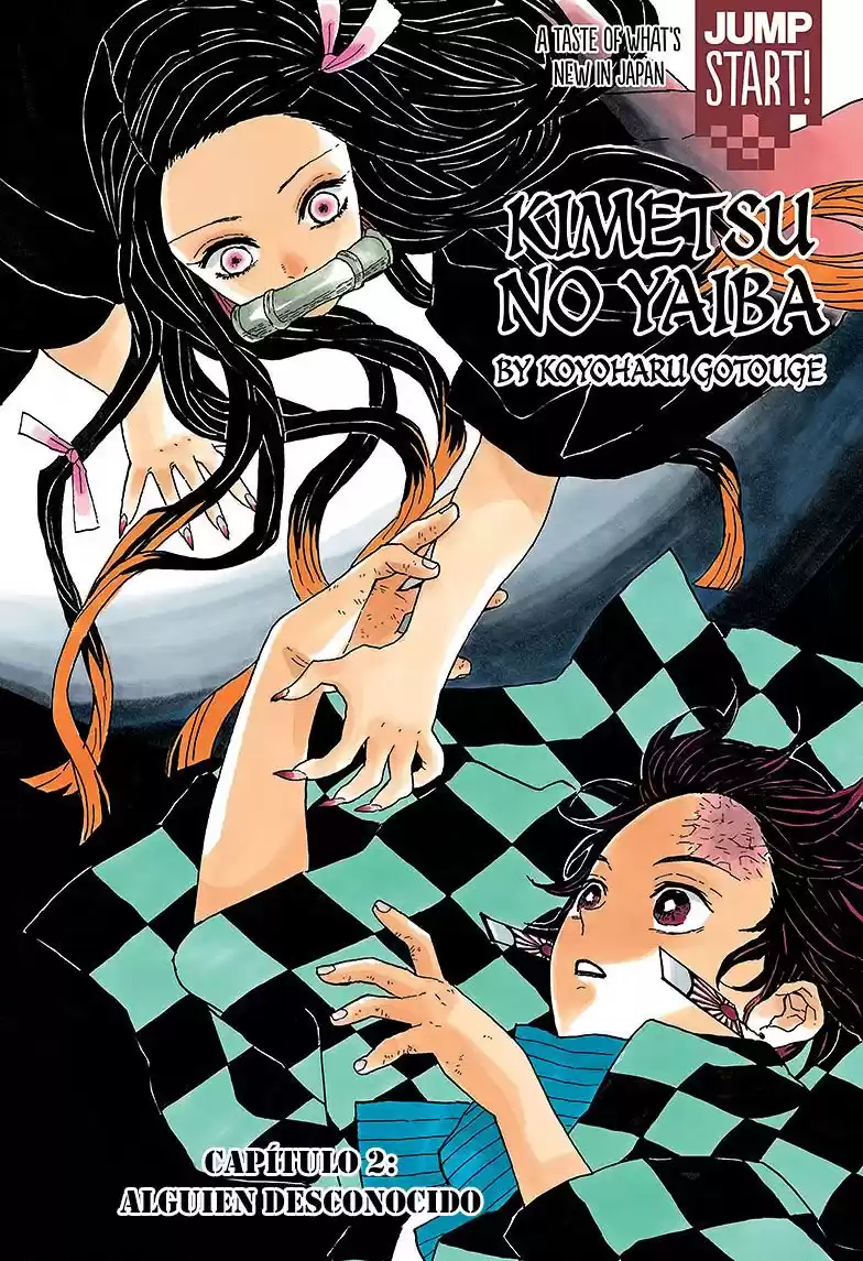 Demon Slayer: Kimetsu no Yaiba Capitulo 2: Alguien desconocido página 1