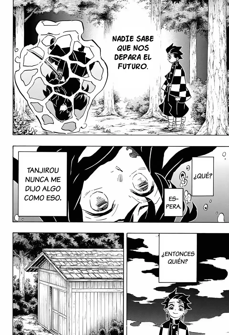 Demon Slayer: Kimetsu no Yaiba Capitulo 117: Herrero página 5