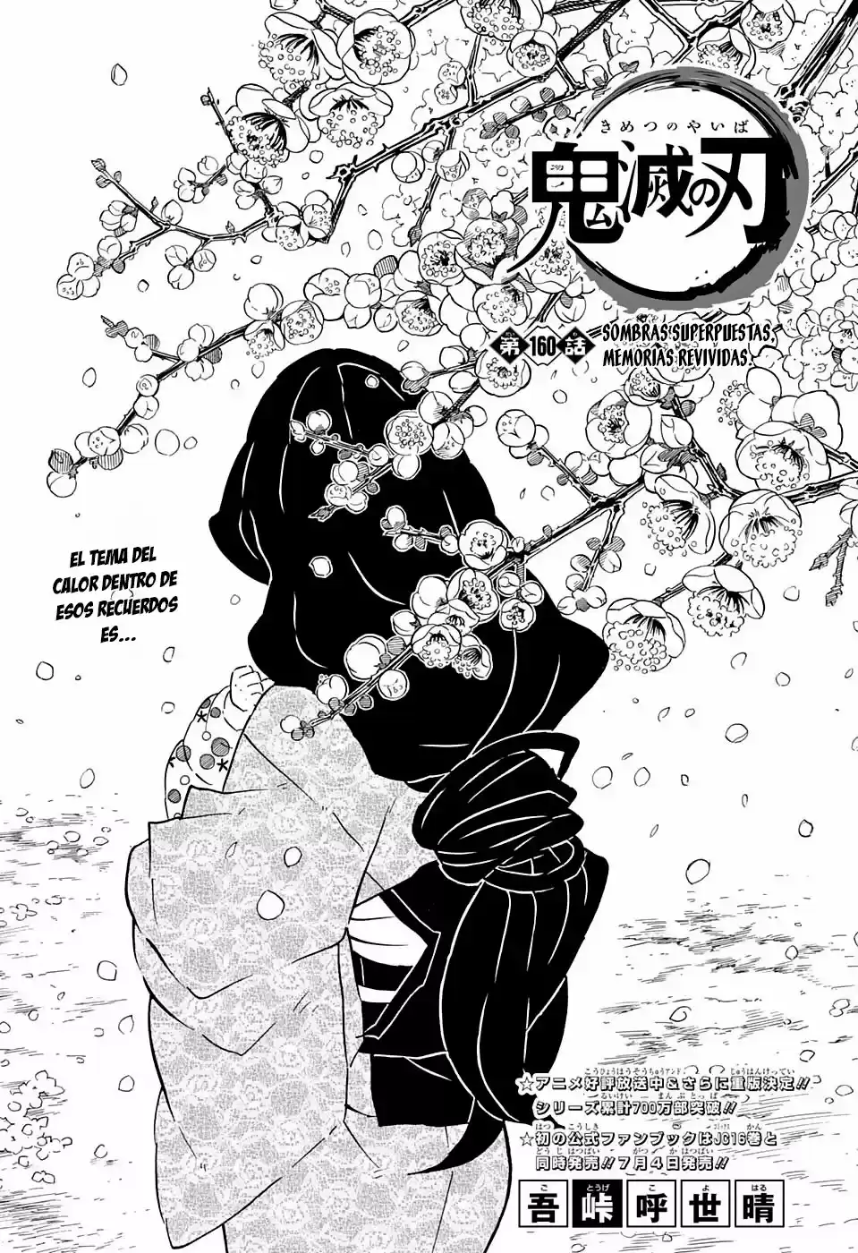 Demon Slayer: Kimetsu no Yaiba Capitulo 160: Sombras superpuestas, memorias revividas. página 2