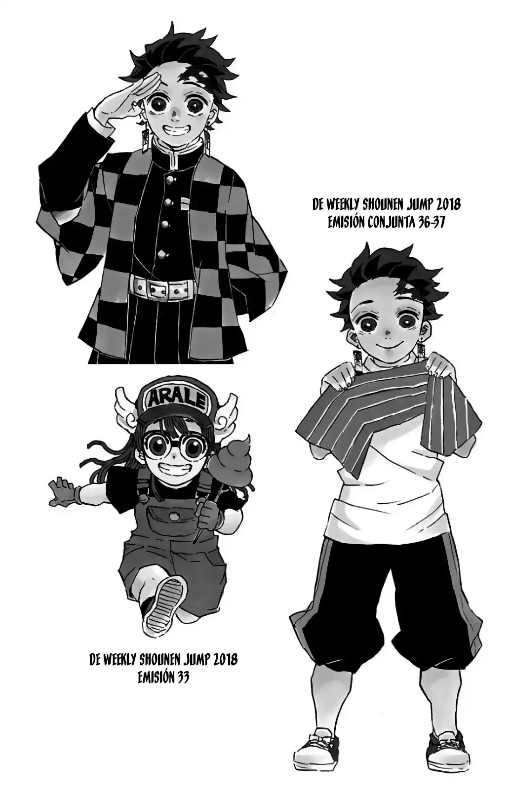 Demon Slayer: Kimetsu no Yaiba Capitulo 115.5: Extras Tomo 13 página 10