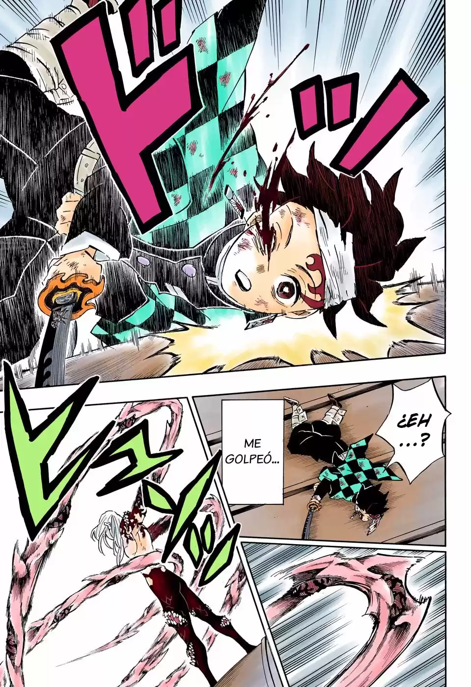 Demon Slayer: Kimetsu no Yaiba Capitulo 182.5: Furia (COLOR). página 10