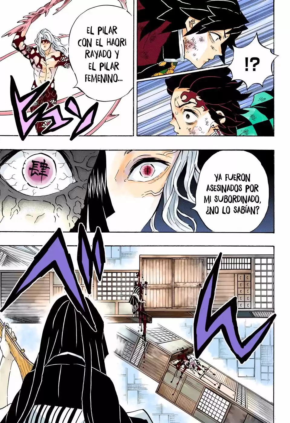 Demon Slayer: Kimetsu no Yaiba Capitulo 182.5: Furia (COLOR). página 12