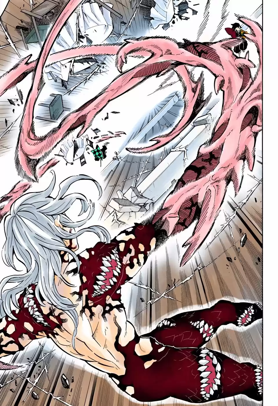 Demon Slayer: Kimetsu no Yaiba Capitulo 182.5: Furia (COLOR). página 6