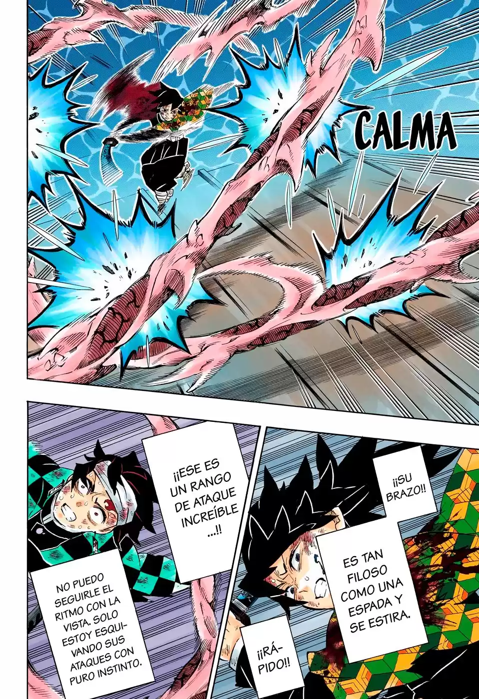 Demon Slayer: Kimetsu no Yaiba Capitulo 182.5: Furia (COLOR). página 7