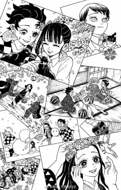 Demon Slayer: Kimetsu no Yaiba Capitulo 206: Años que hacen la vida mejor página 8