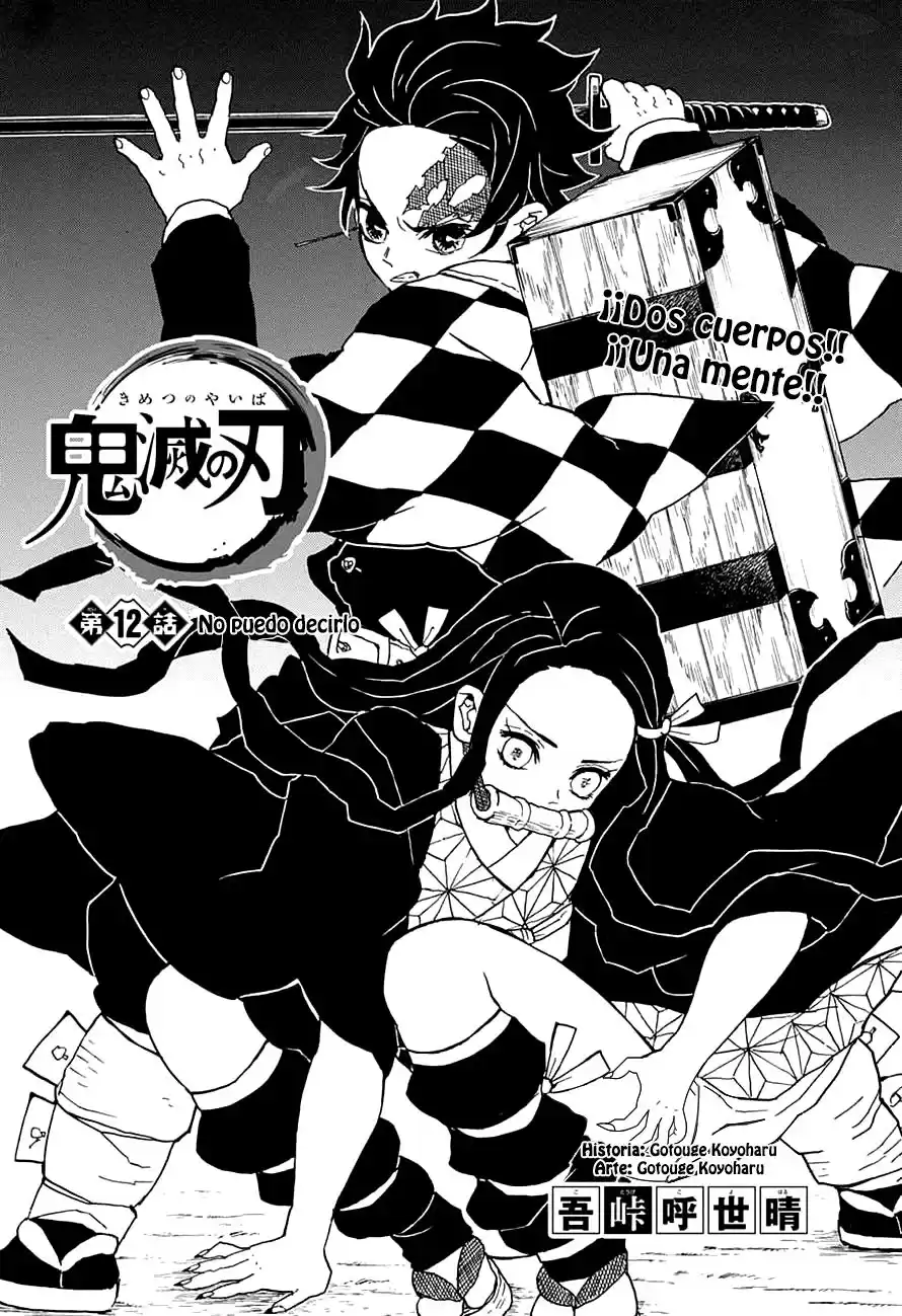 Demon Slayer: Kimetsu no Yaiba Capitulo 12: No puedo decirlo página 1