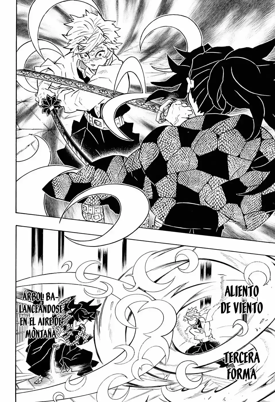 Demon Slayer: Kimetsu no Yaiba Capitulo 167: Plegaria página 5