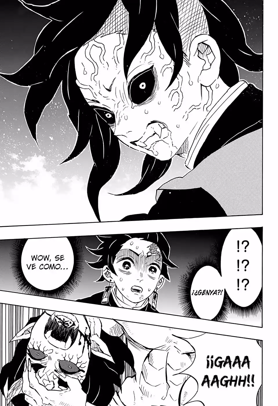 Demon Slayer: Kimetsu no Yaiba Capitulo 113 página 13