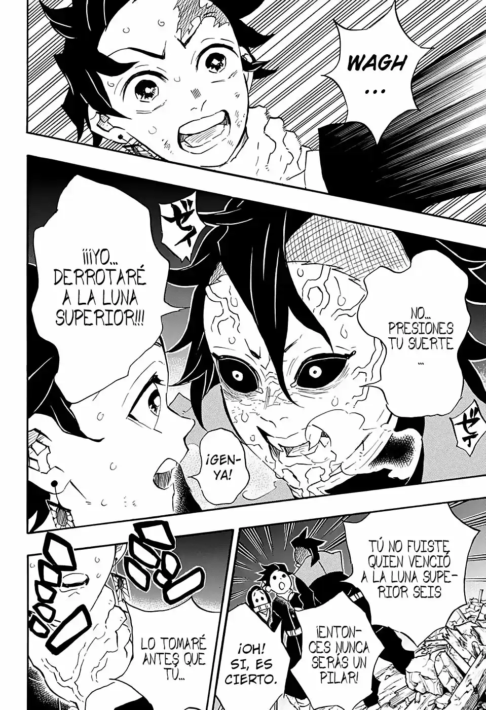 Demon Slayer: Kimetsu no Yaiba Capitulo 113 página 16