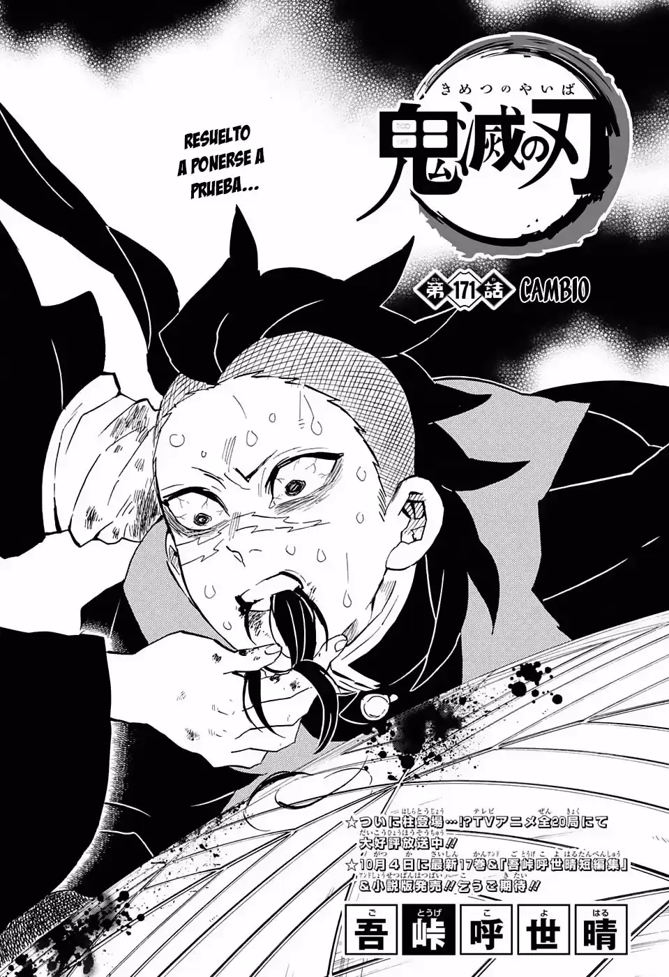 Demon Slayer: Kimetsu no Yaiba Capitulo 171: Cambio. página 2