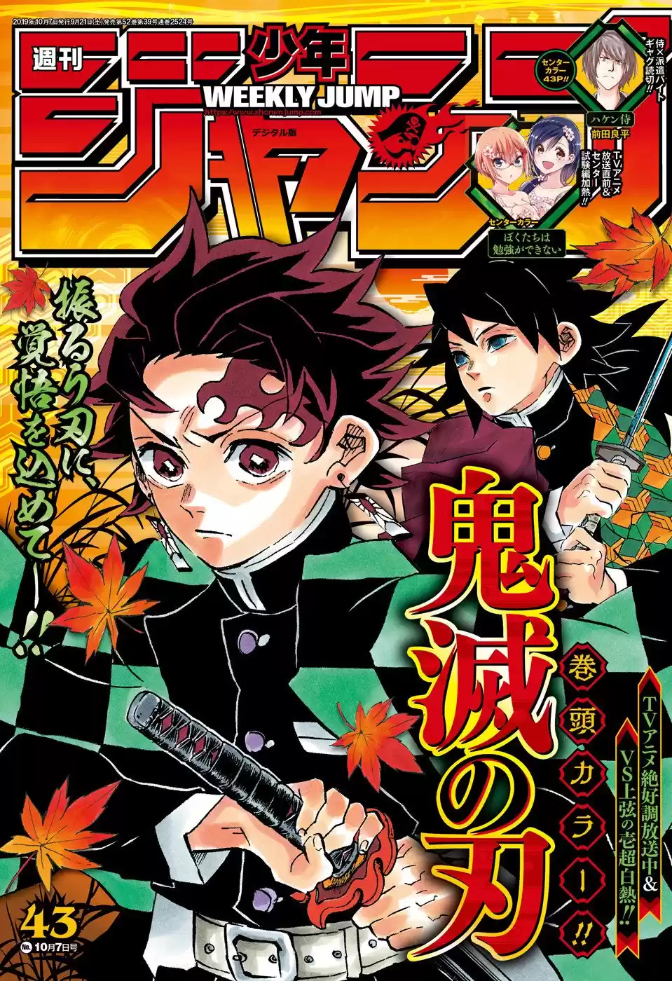 Demon Slayer: Kimetsu no Yaiba Capitulo 175: Respecto a las futuras generaciones. página 2