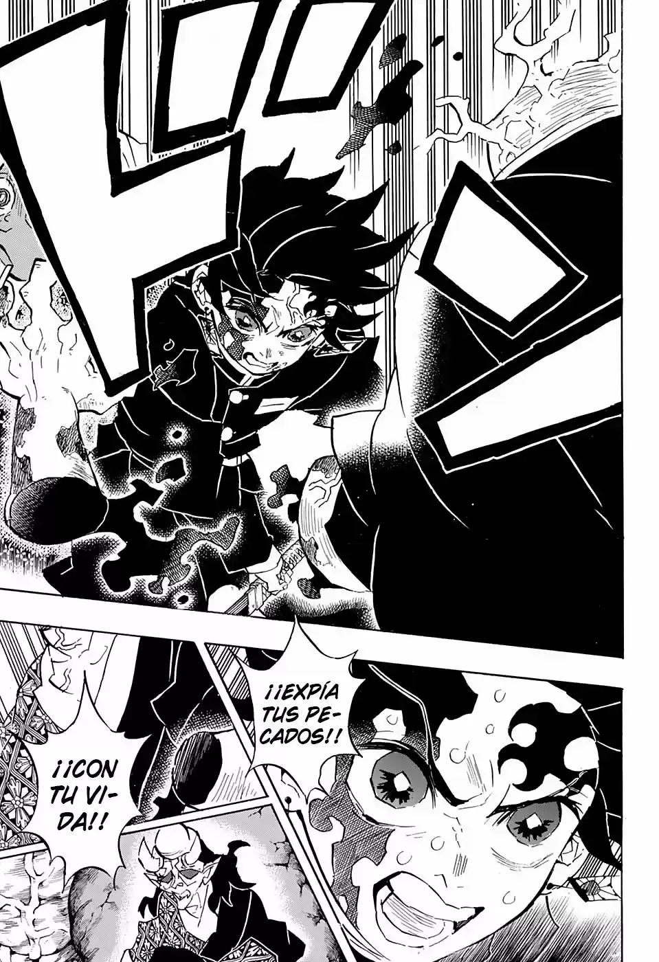 Demon Slayer: Kimetsu no Yaiba Capitulo 126: El sol sale, y la luz brilla. página 14