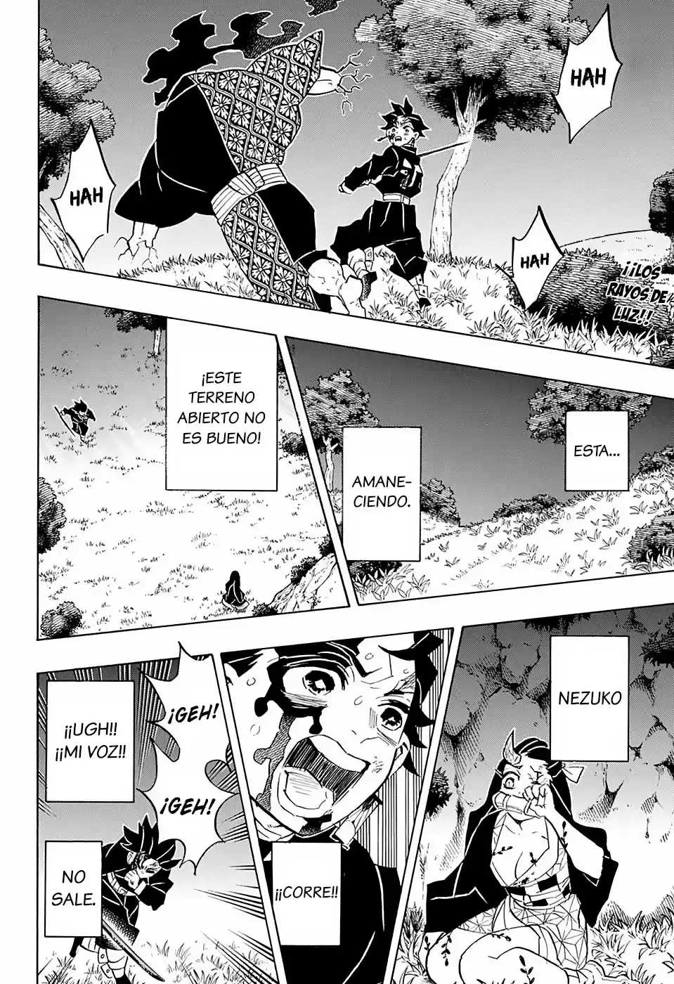 Demon Slayer: Kimetsu no Yaiba Capitulo 126: El sol sale, y la luz brilla. página 3