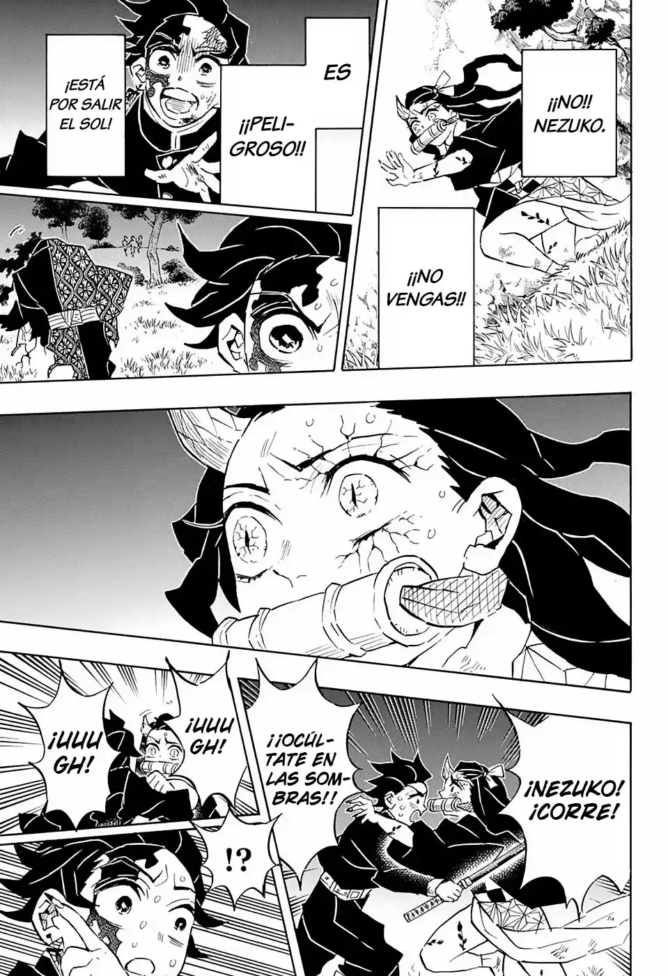 Demon Slayer: Kimetsu no Yaiba Capitulo 126: El sol sale, y la luz brilla. página 4