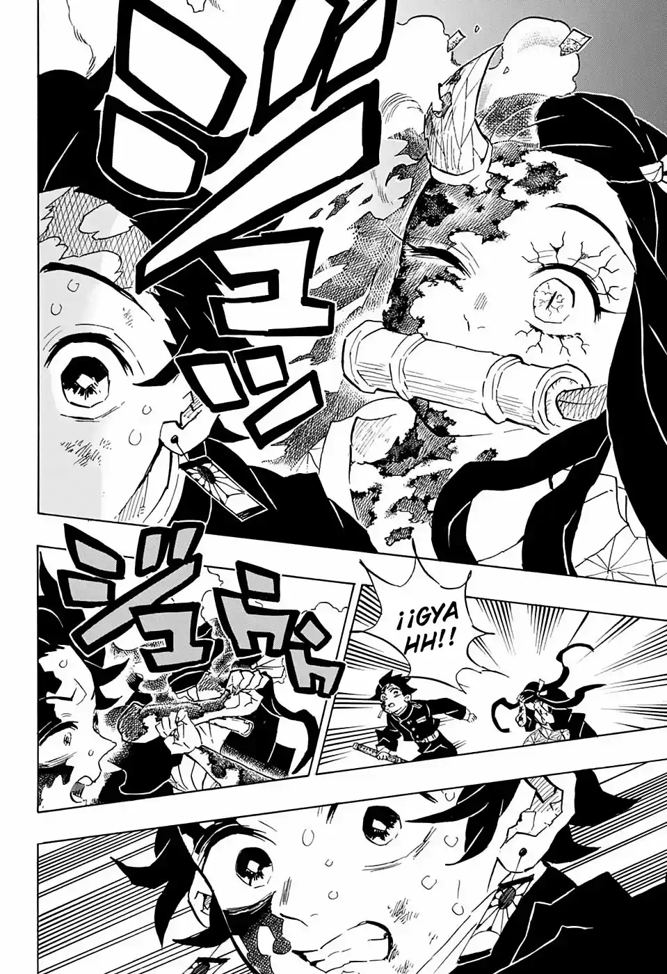 Demon Slayer: Kimetsu no Yaiba Capitulo 126: El sol sale, y la luz brilla. página 7