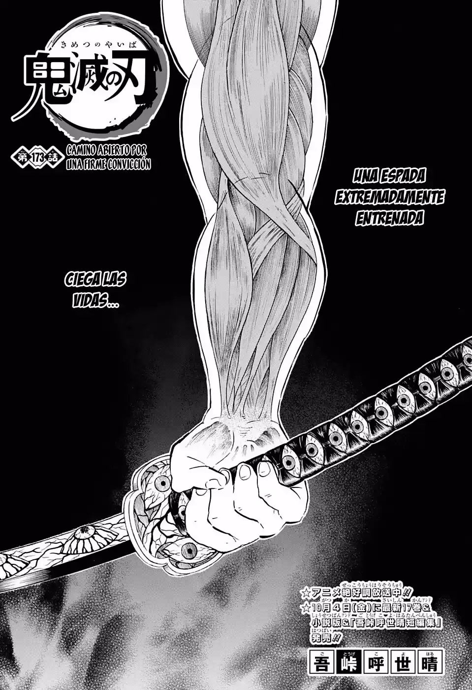 Demon Slayer: Kimetsu no Yaiba Capitulo 173: Camino abierto por una firme convicción. página 2