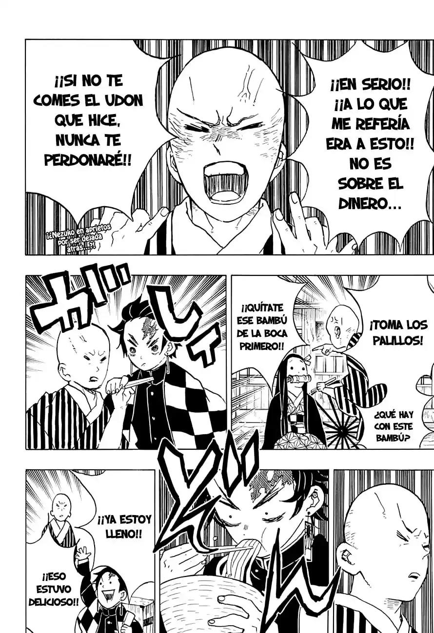 Demon Slayer: Kimetsu no Yaiba Capitulo 15: La opinión del doctor página 2