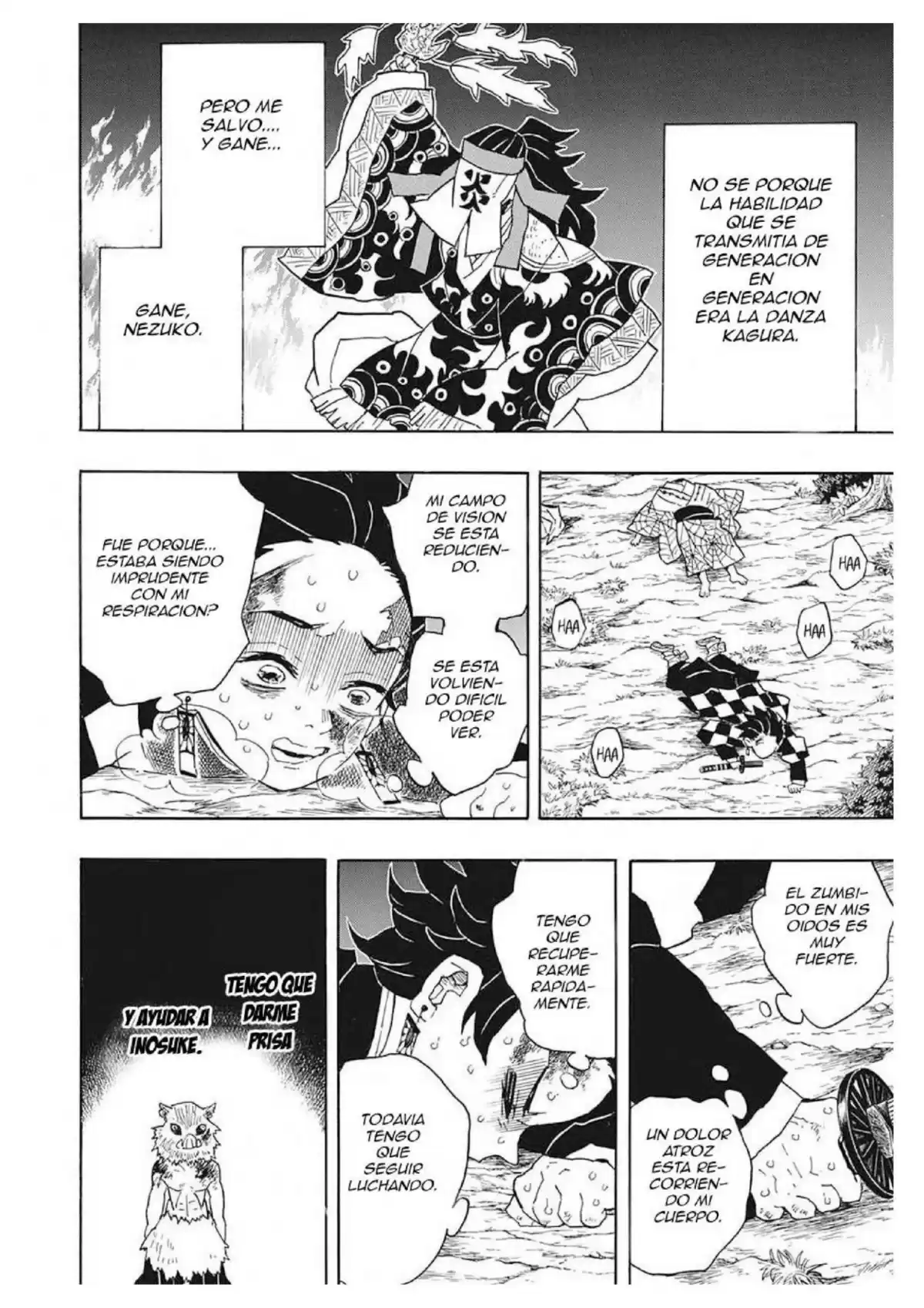 Demon Slayer: Kimetsu no Yaiba Capitulo 42: Detras página 5