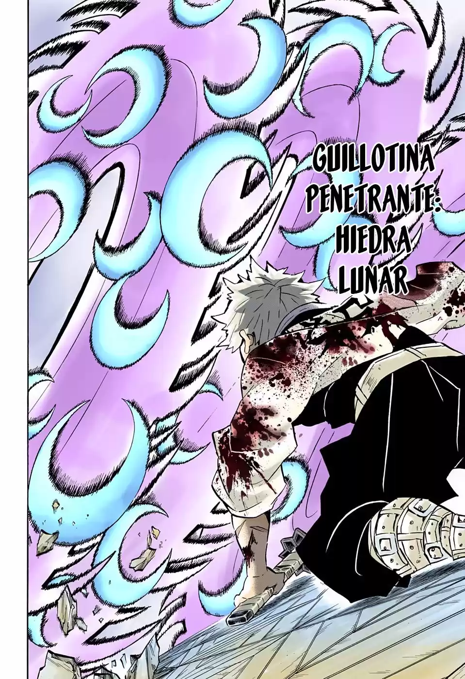 Demon Slayer: Kimetsu no Yaiba Capitulo 172.5: El potencial de los débiles (COLOR). página 13