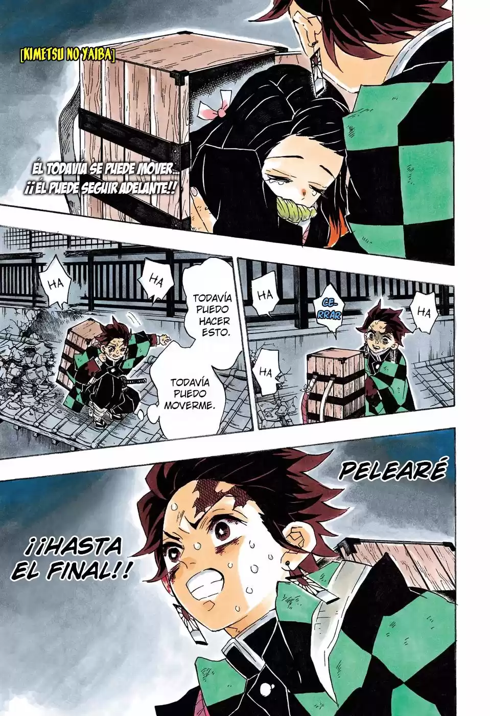 Demon Slayer: Kimetsu no Yaiba Capitulo 87: Reunión página 2