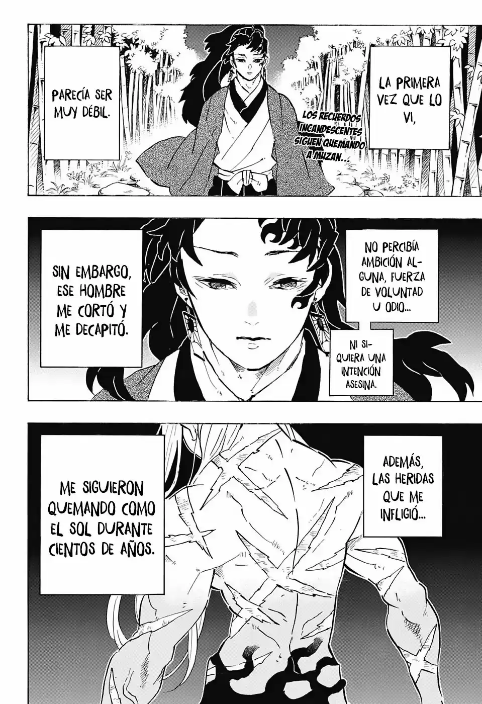 Demon Slayer: Kimetsu no Yaiba Capitulo 195: Desconcertante. página 3