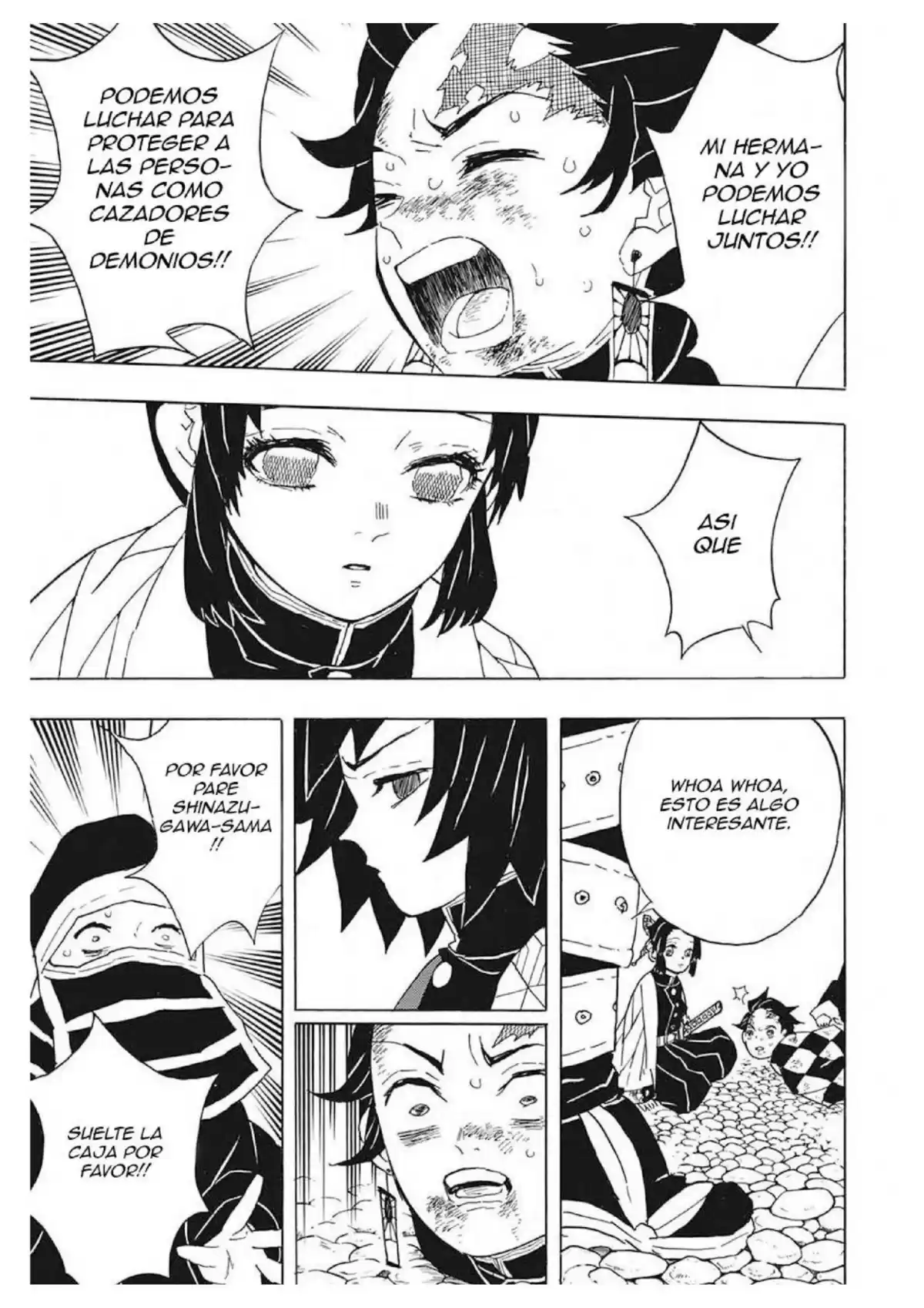 Demon Slayer: Kimetsu no Yaiba Capitulo 45: Juicio conjunto de los pilares de los cazadores de demonios página 12