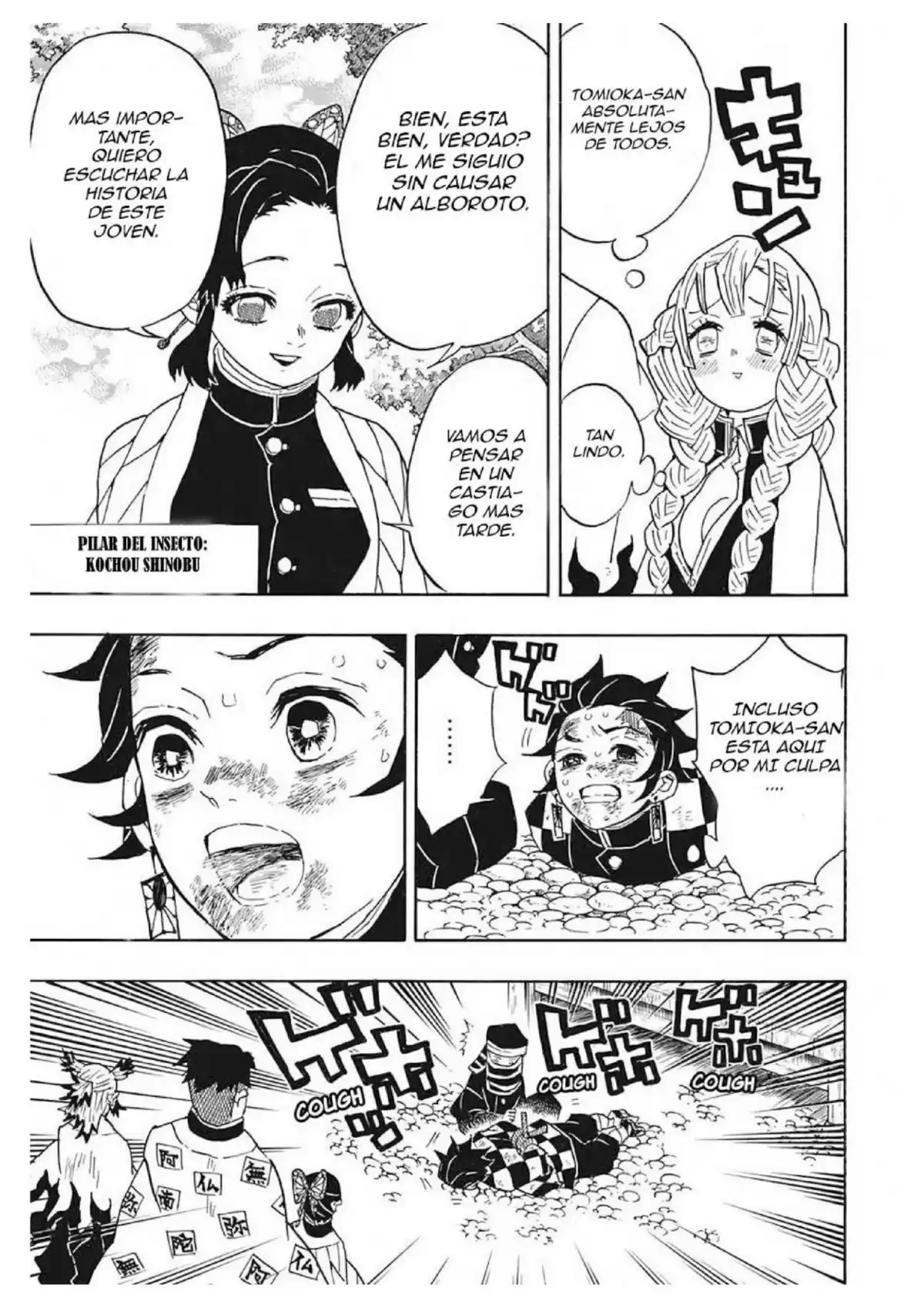 Demon Slayer: Kimetsu no Yaiba Capitulo 45: Juicio conjunto de los pilares de los cazadores de demonios página 8