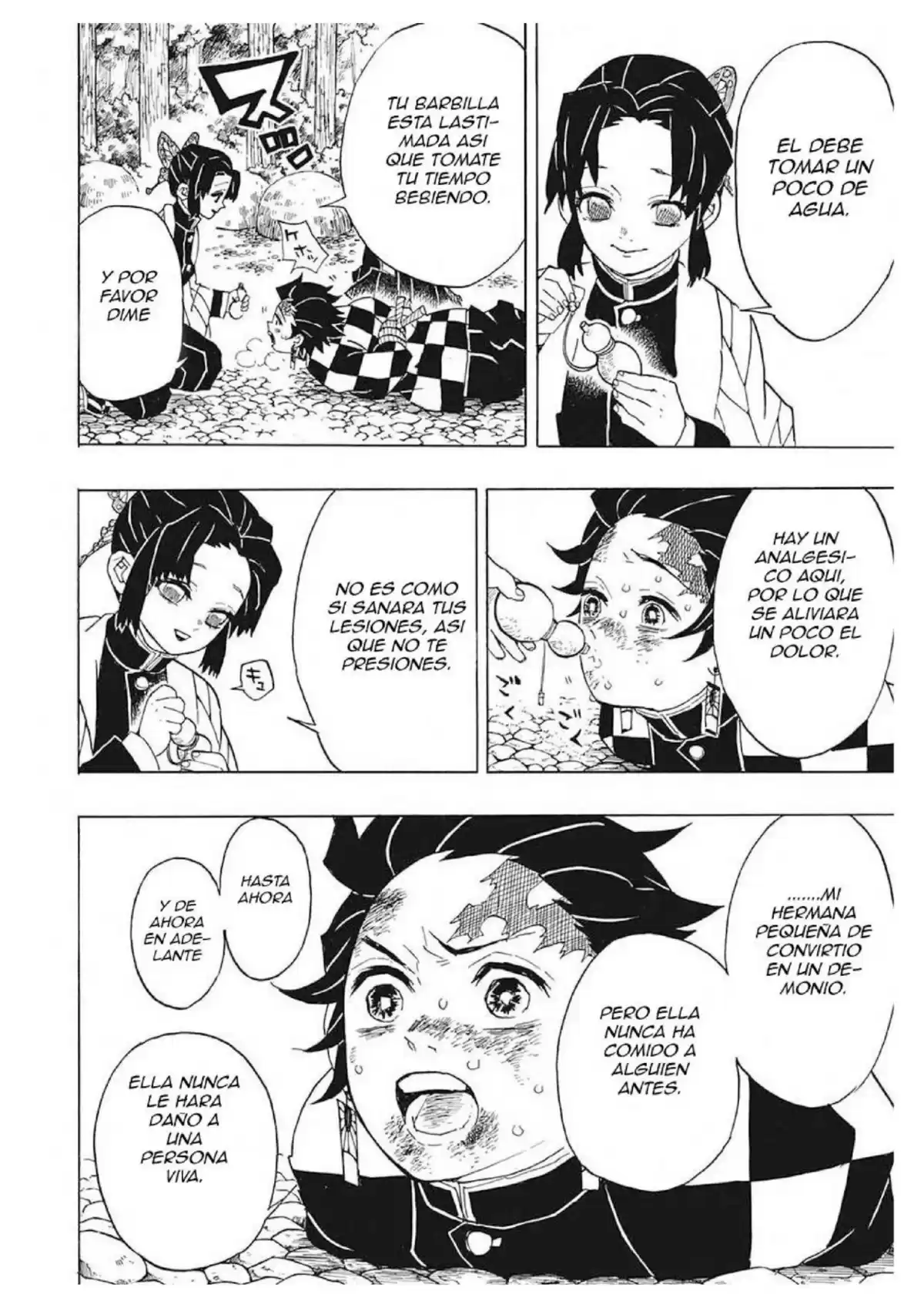 Demon Slayer: Kimetsu no Yaiba Capitulo 45: Juicio conjunto de los pilares de los cazadores de demonios página 9