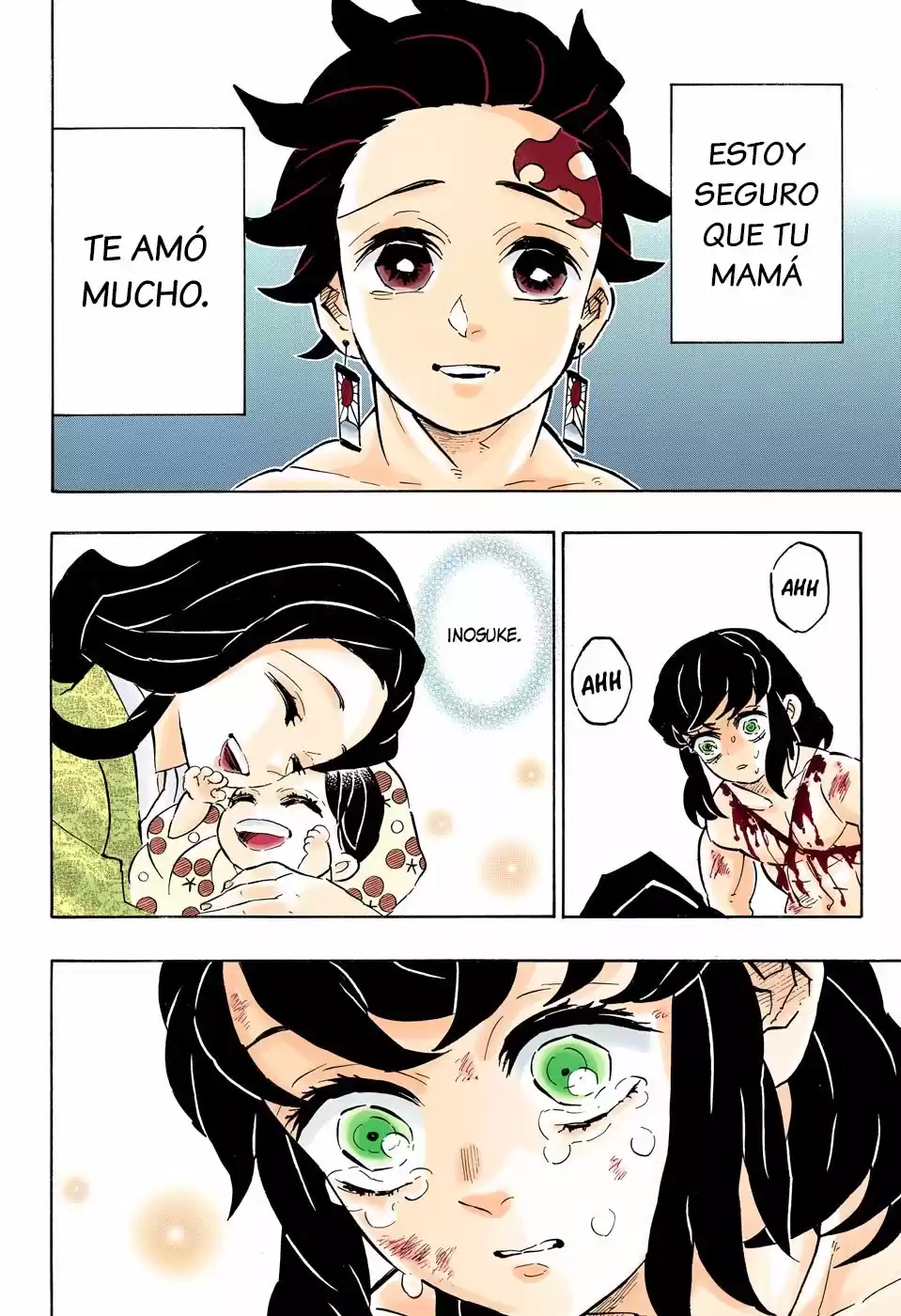 Demon Slayer: Kimetsu no Yaiba Capitulo 163.5: Corazón desbordado (color). página 13