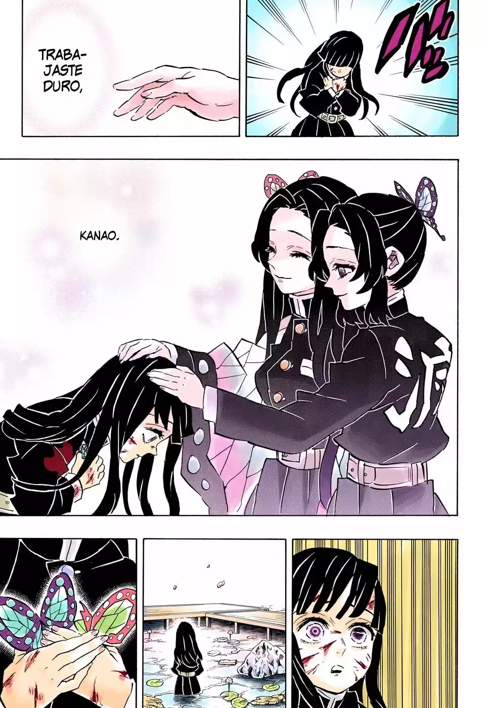 Demon Slayer: Kimetsu no Yaiba Capitulo 163.5: Corazón desbordado (color). página 18