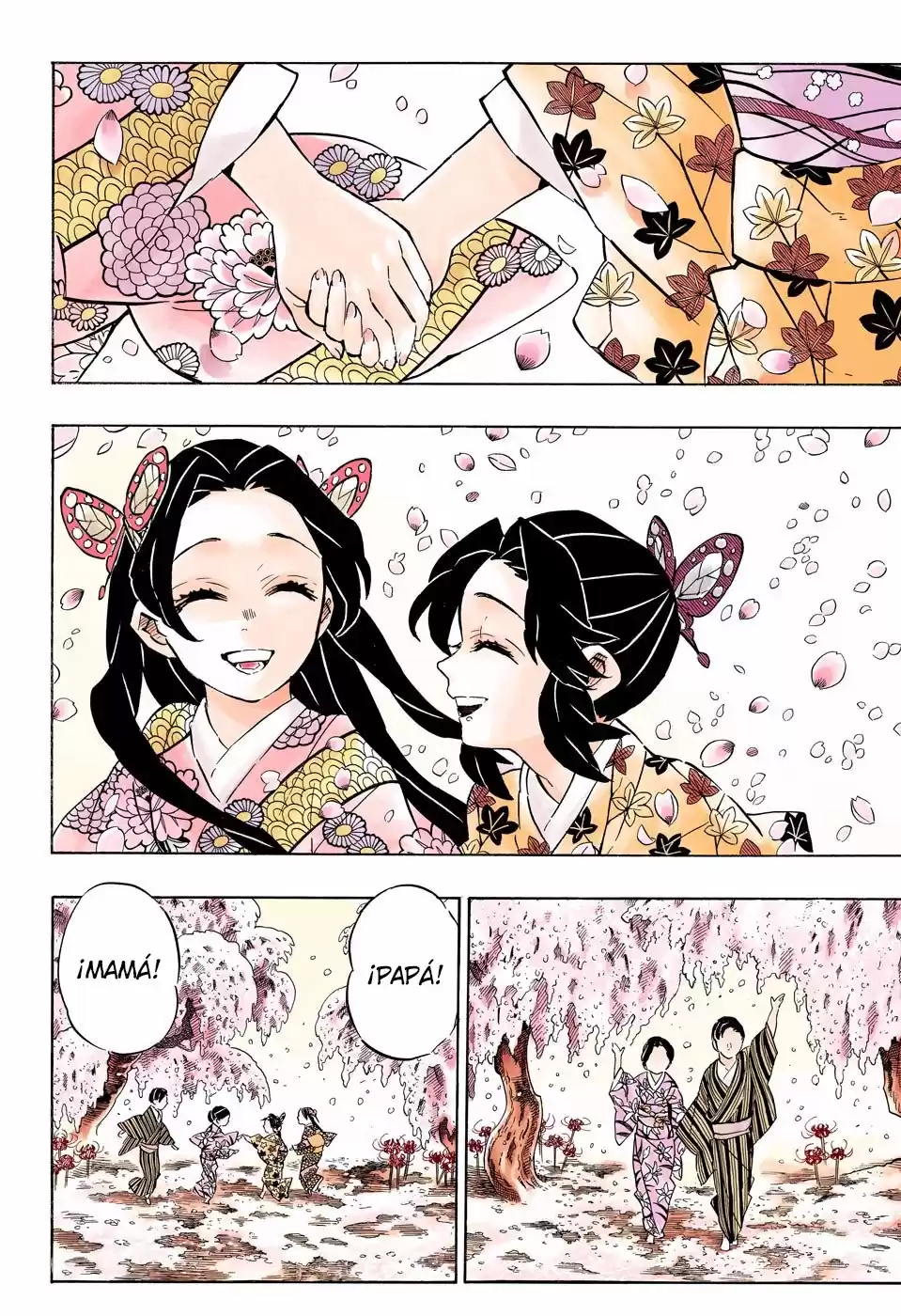 Demon Slayer: Kimetsu no Yaiba Capitulo 163.5: Corazón desbordado (color). página 19