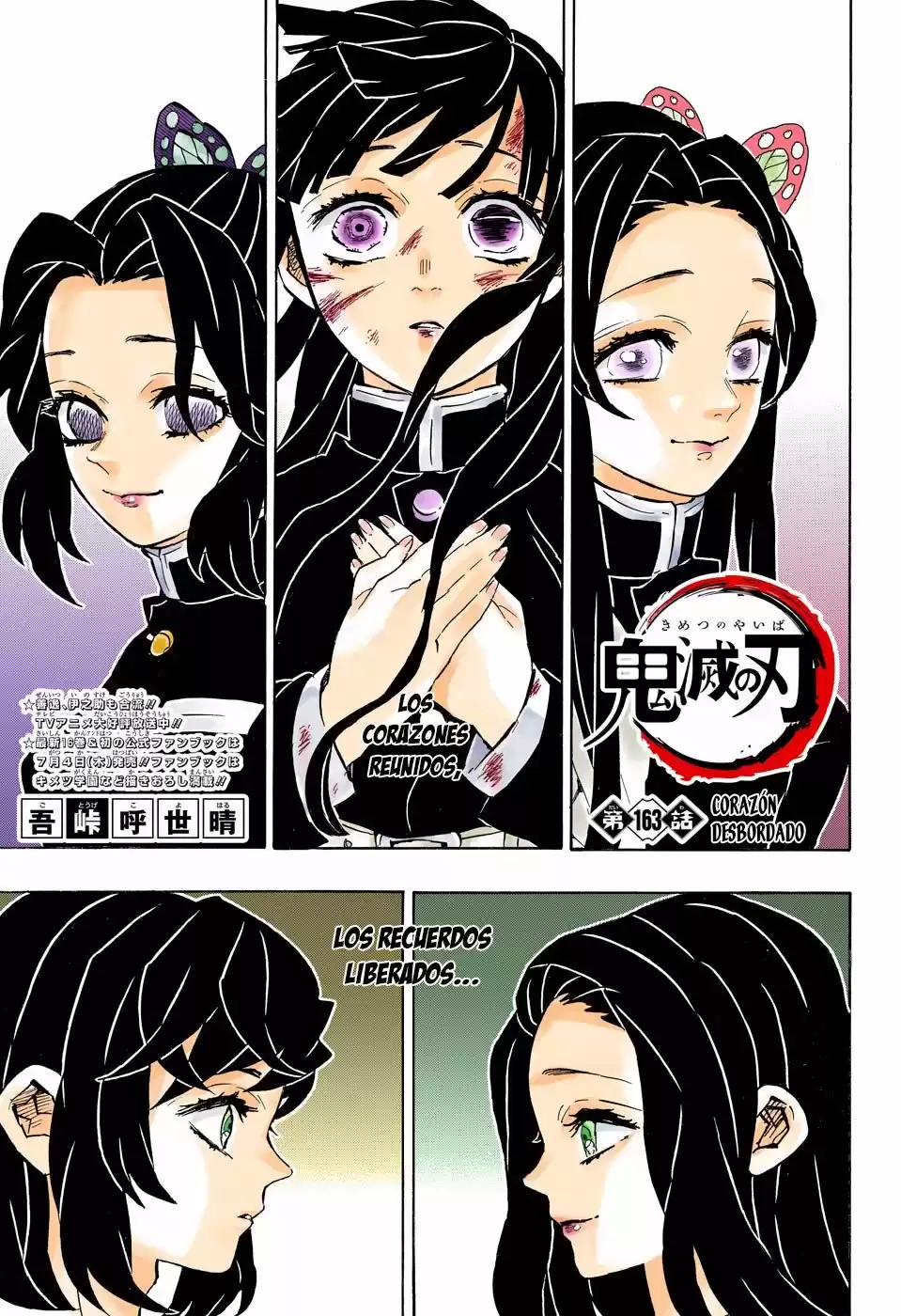 Demon Slayer: Kimetsu no Yaiba Capitulo 163.5: Corazón desbordado (color). página 2