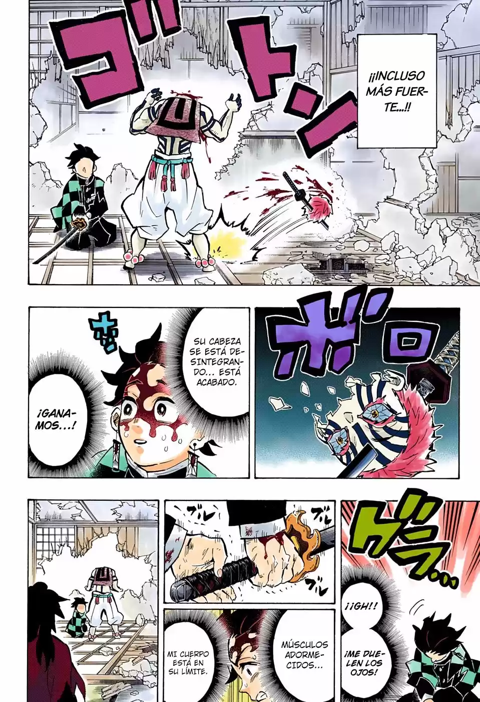 Demon Slayer: Kimetsu no Yaiba Capitulo 153.5: Atraído (color) página 9