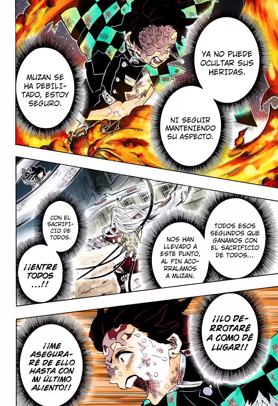 Demon Slayer: Kimetsu no Yaiba Capitulo 195.5: Desconcertante (COLOR). página 5