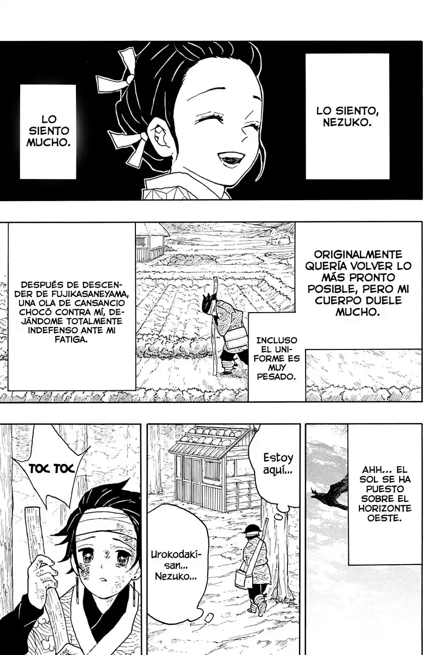 Demon Slayer: Kimetsu no Yaiba Capitulo 9: Bienvenido a casa página 3