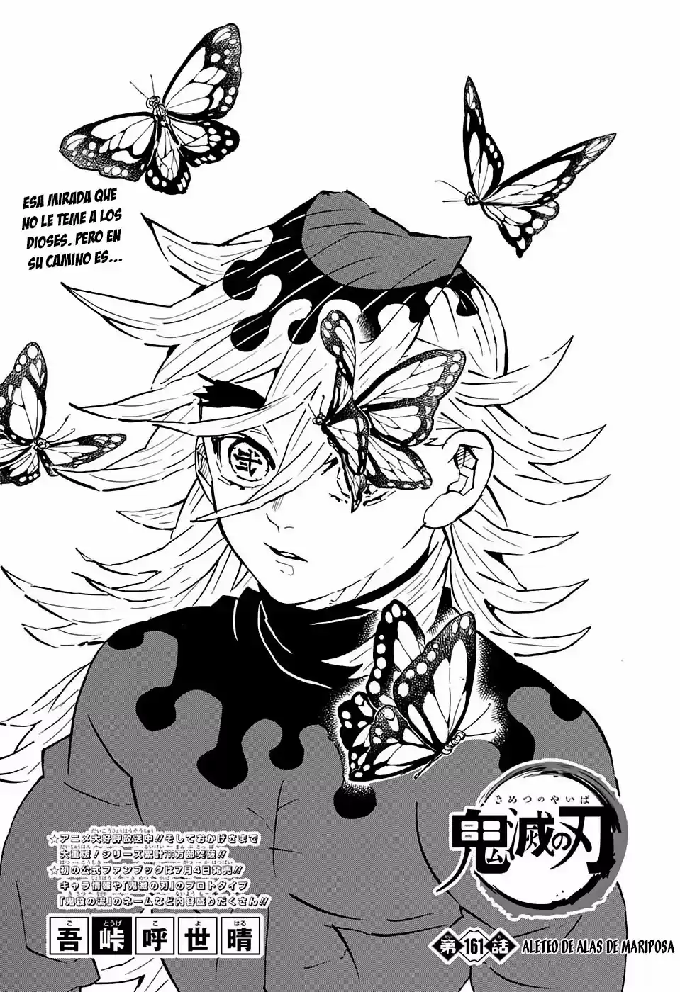 Demon Slayer: Kimetsu no Yaiba Capitulo 161: Aleteo de alas de mariposa. página 2