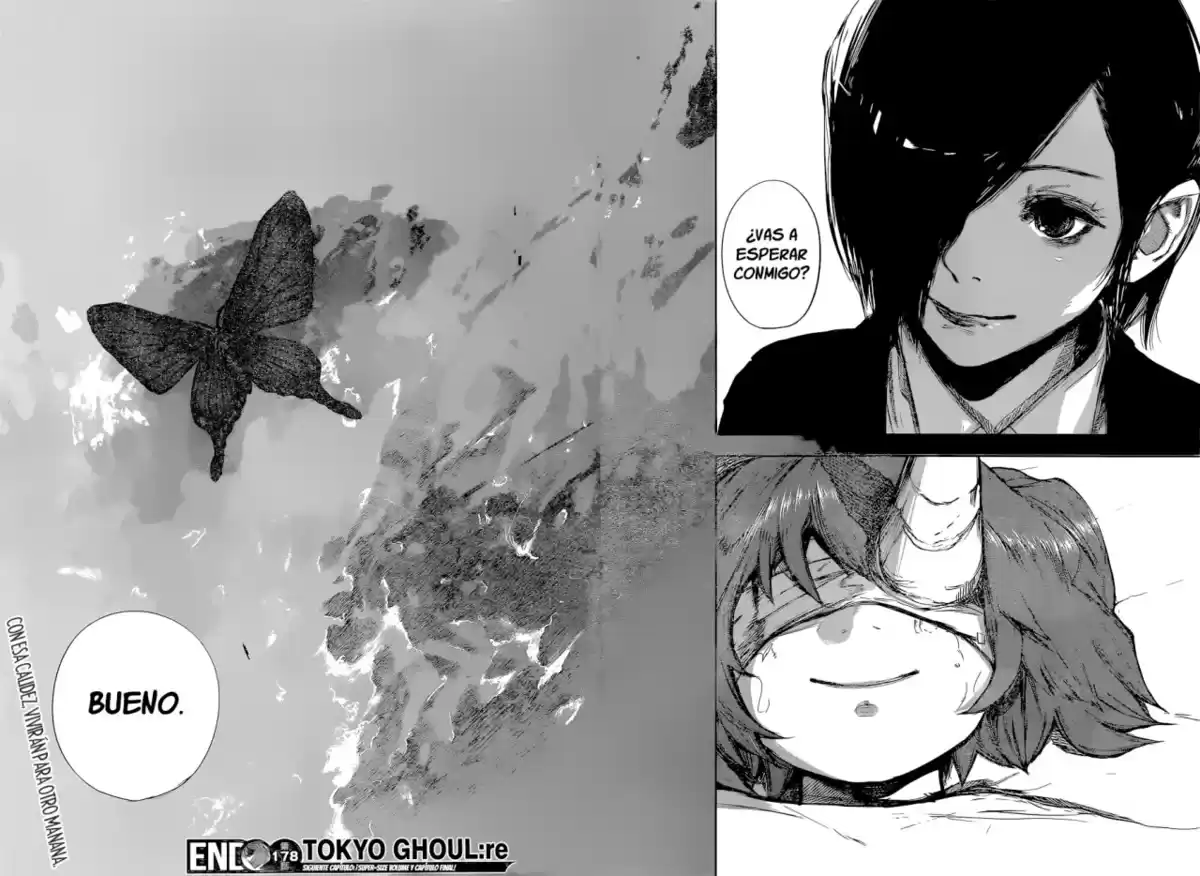 Tokyo Ghoul:re Capitulo 178: Blanco y conejo página 17