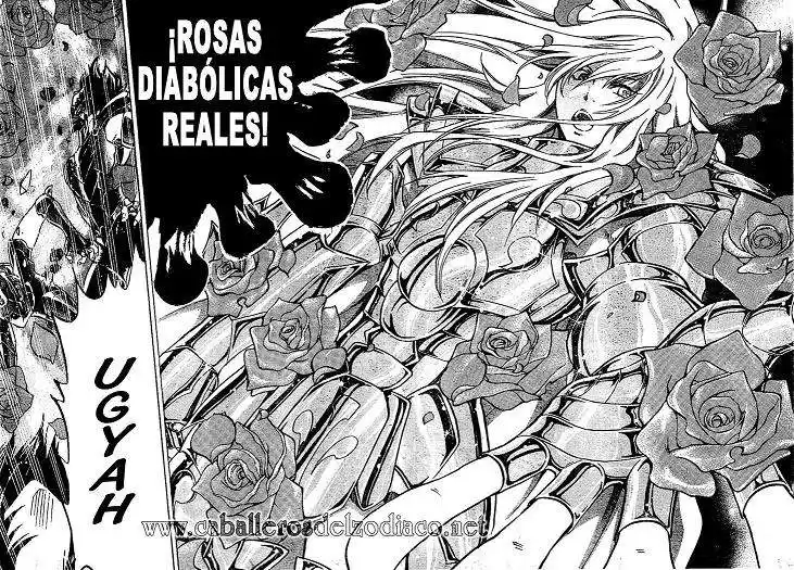 Saint Seiya The Lost Canvas Capitulo 18: Rosas envenenadas página 5