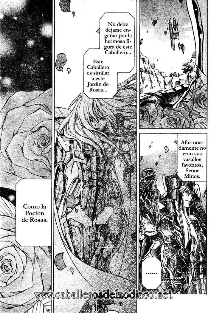 Saint Seiya The Lost Canvas Capitulo 18: Rosas envenenadas página 7